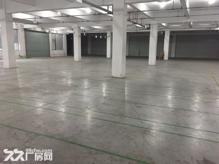 滨文路一楼1200方，层高6米，适合展厅摄影科技类