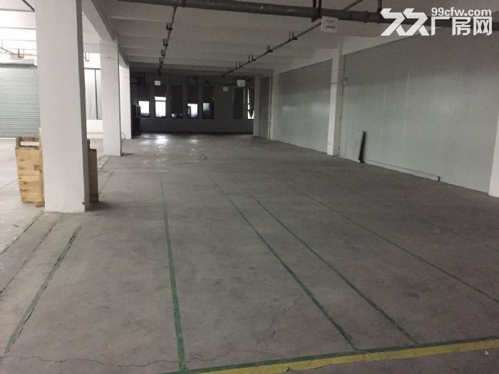 滨文路一楼1200方，层高6米，适合展厅摄影科技类-图2