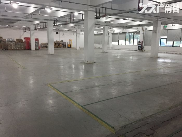 滨文路一楼1200方，层高6米，适合展厅摄影科技类-图4
