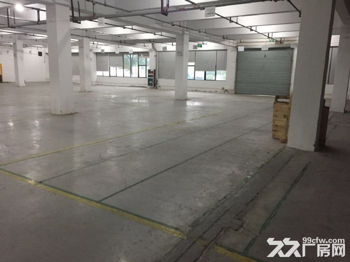 滨文路一楼1200方，层高6米，适合展厅摄影科技类-图5