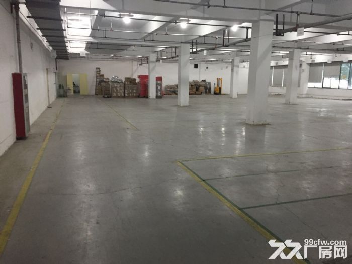 滨文路一楼1200方，层高6米，适合展厅摄影科技类-图6
