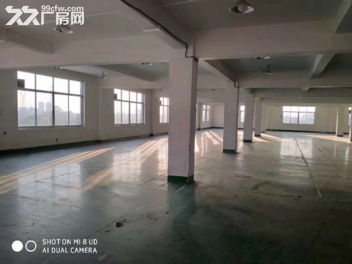 闻堰单层1400方标准厂房，适合淘宝仓库直接拎包