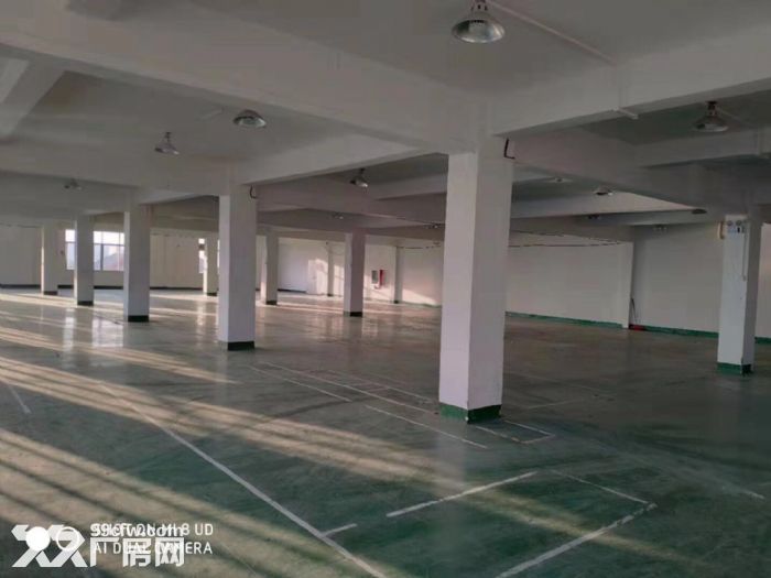 闻堰单层1400方标准厂房，适合淘宝仓库直接拎包-图6