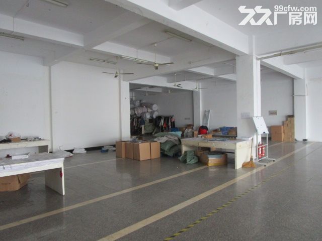 1000方厂房出租,配3T大货梯，办公服装设计等-图3