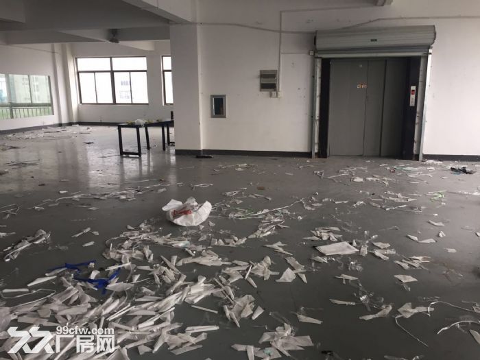 滨江600方厂房出租  价格便宜 淘宝仓储办公-图4