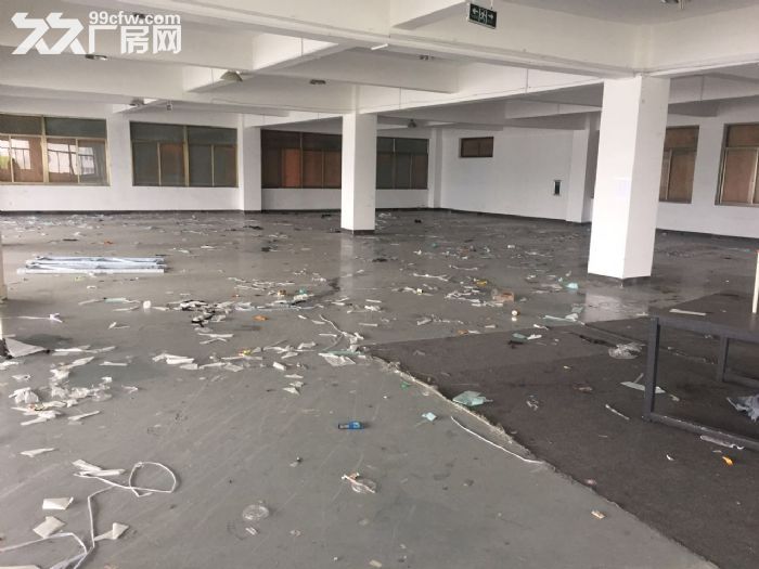滨江600方厂房出租  价格便宜 淘宝仓储办公-图3