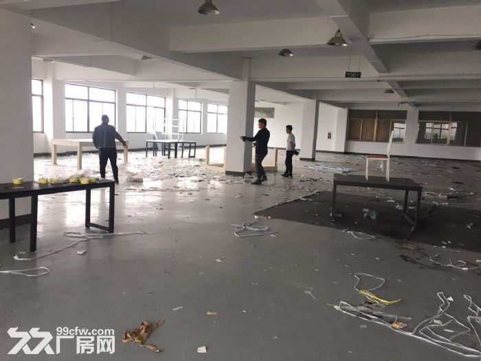 滨江600方厂房出租  价格便宜 淘宝仓储办公-图6