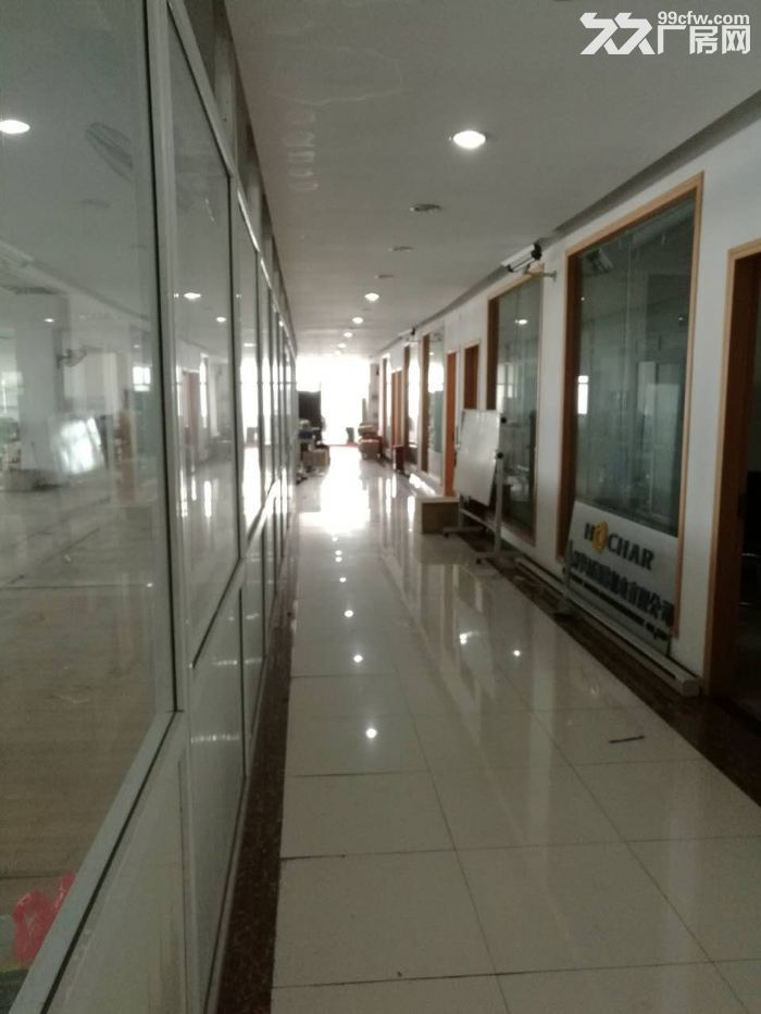滨江园区900方带装修出租 适合办公电子科技组装-图3