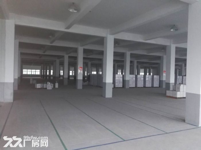 鸿达路整层5000方 可以分割 有食堂宿舍-图3