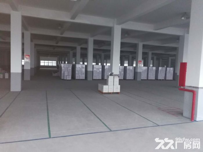 鸿达路整层5000方 可以分割 有食堂宿舍-图5