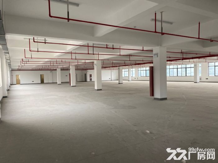 滨江标准厂房招租，地铁5号线滨康站，适合各类企业-图2
