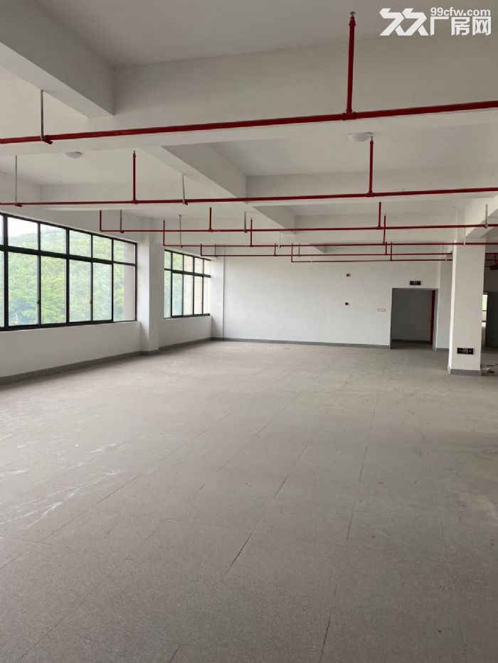 滨江标准厂房招租，地铁5号线滨康站，适合各类企业-图3