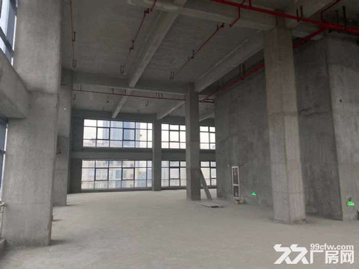 摄影，文创，电商直播带货，电商运营，网红孵化基地，科技研发-图2