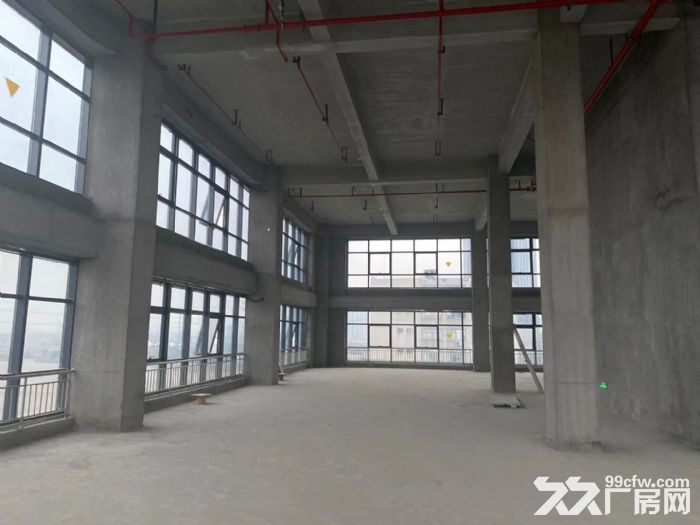 摄影，文创，电商直播带货，电商运营，网红孵化基地，科技研发-图3