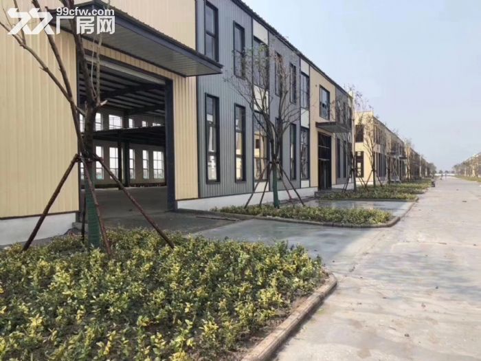 化工厂房出租 带环评 三类用地 稀缺 稀缺稀缺
