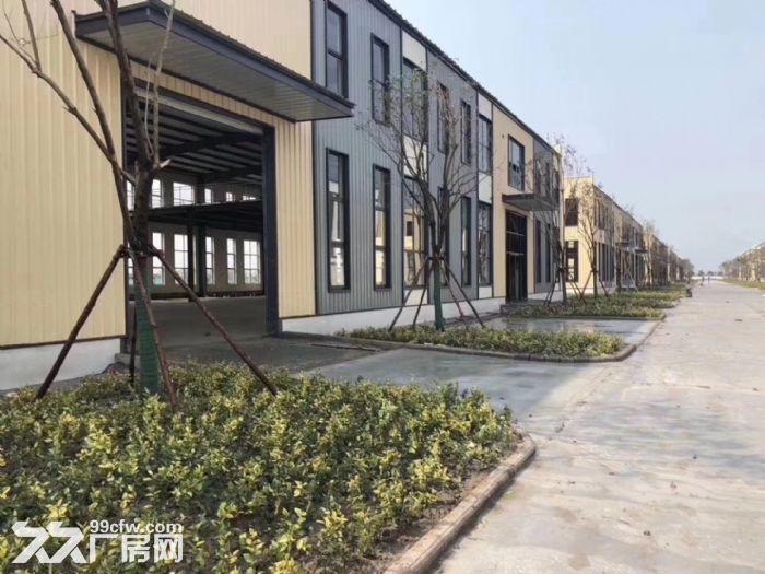 化工厂房出租 带环评 三类用地 稀缺 稀缺稀缺-图2
