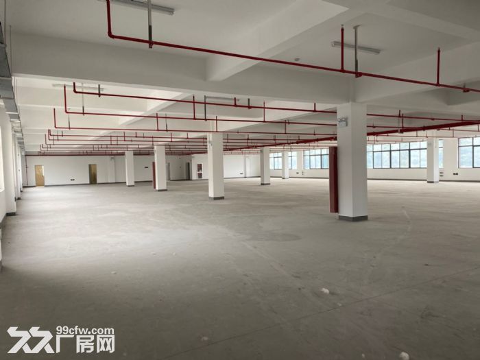 独幢厂房出租，3000方适合各类企业-图2
