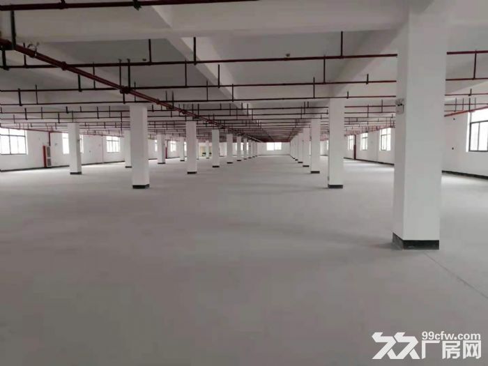 出租富阳东洲电商园25000方菜鸟云仓，1−4层，大小可分租-图4