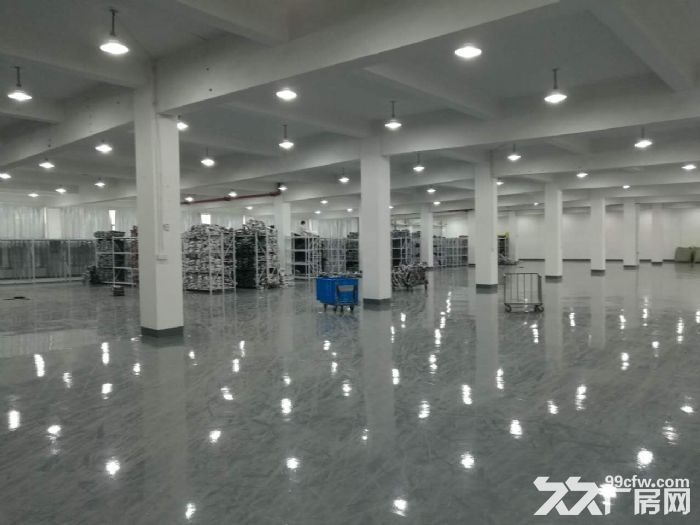 滨康路整层1600方可以分割 500方起租