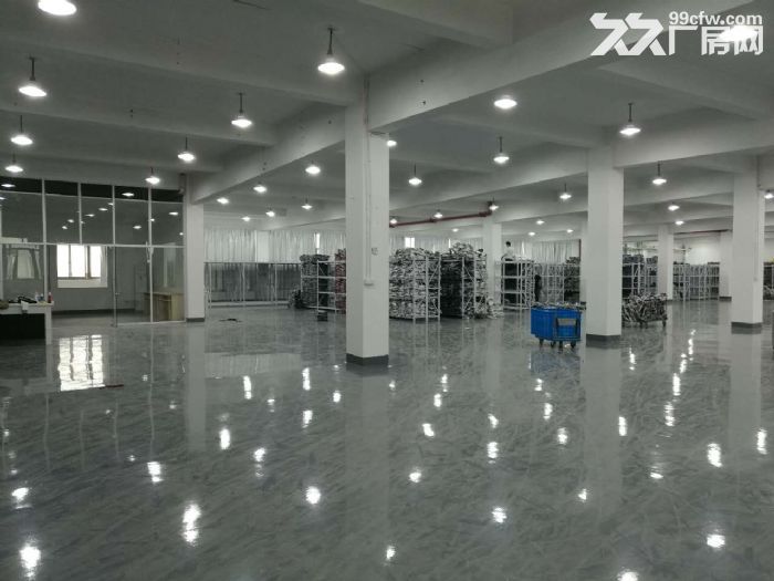 滨康路整层1600方可以分割 500方起租-图2