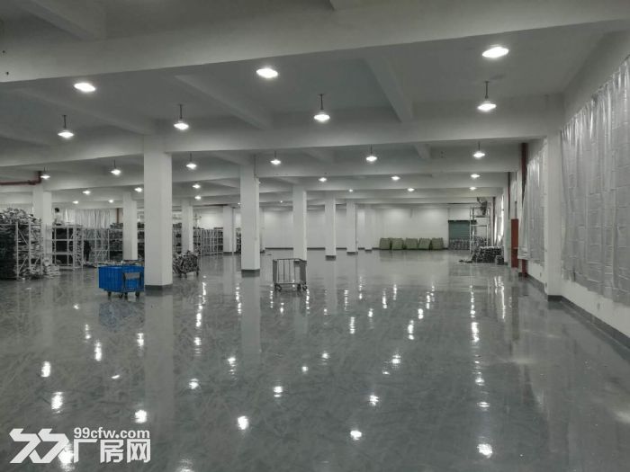 滨康路整层1600方可以分割 500方起租-图4