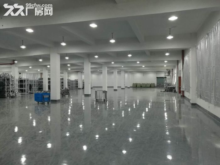 滨康路整层1600方可以分割 500方起租-图3
