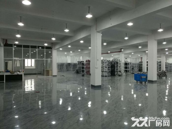 滨康路整层1600方可以分割 500方起租-图5