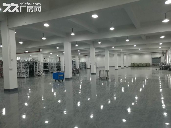 滨康路整层1600方可以分割 500方起租-图6