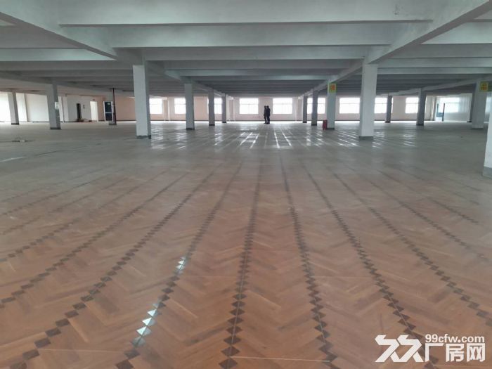 鸿达路淘宝仓库3000 6000方出租 2个大货梯
