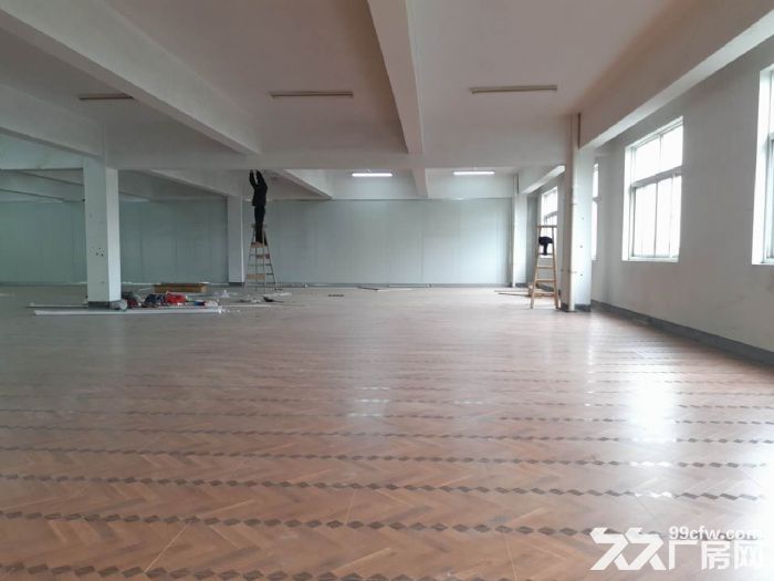 鸿达路淘宝仓库3000 6000方出租 2个大货梯-图2