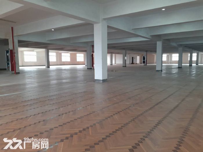 鸿达路淘宝仓库3000 6000方出租 2个大货梯-图4