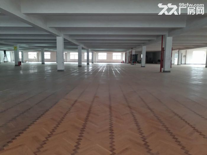 鸿达路淘宝仓库3000 6000方出租 2个大货梯-图3