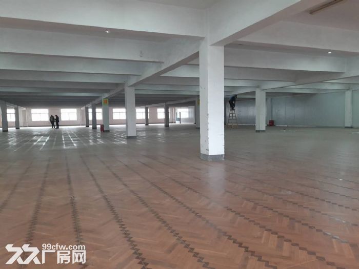鸿达路淘宝仓库3000 6000方出租 2个大货梯-图5