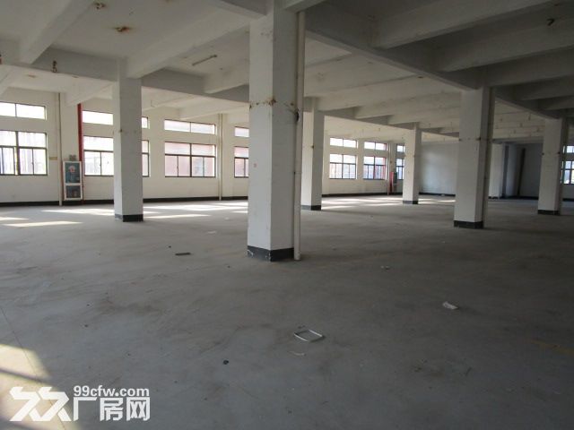 滨康路地铁口附近500 1200方出租 特价出租-图2