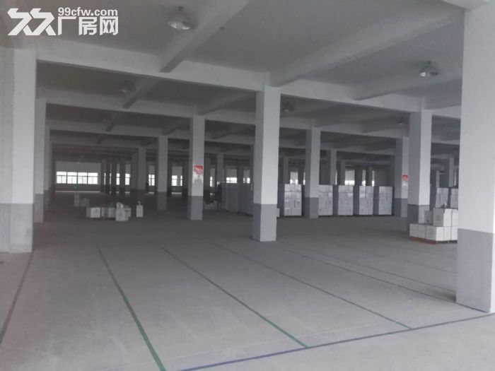 机场高速鸿达路单层2000方 适合电子科技轻加工-图3