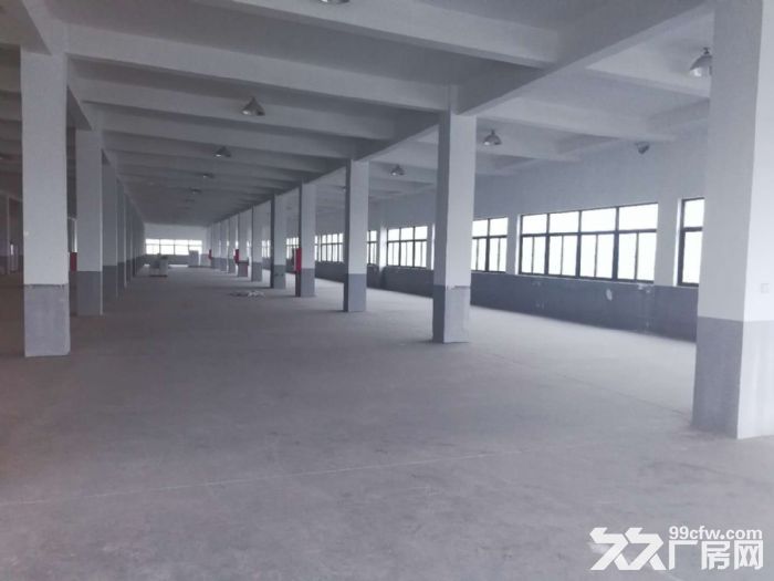 机场高速鸿达路单层2000方 适合电子科技轻加工-图4