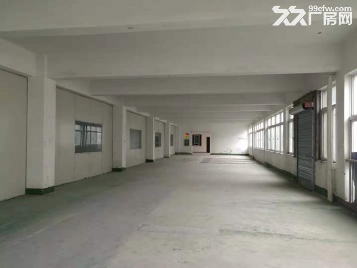 房东直租康惠路1号厂房、仓库，可注册、可生产-图4
